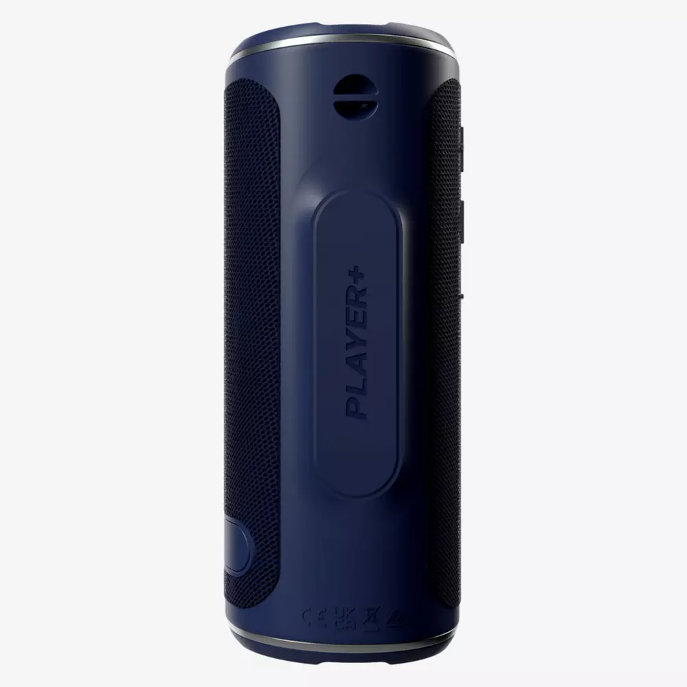 BLUE TEES The Player+ Speaker Review 3 image 2