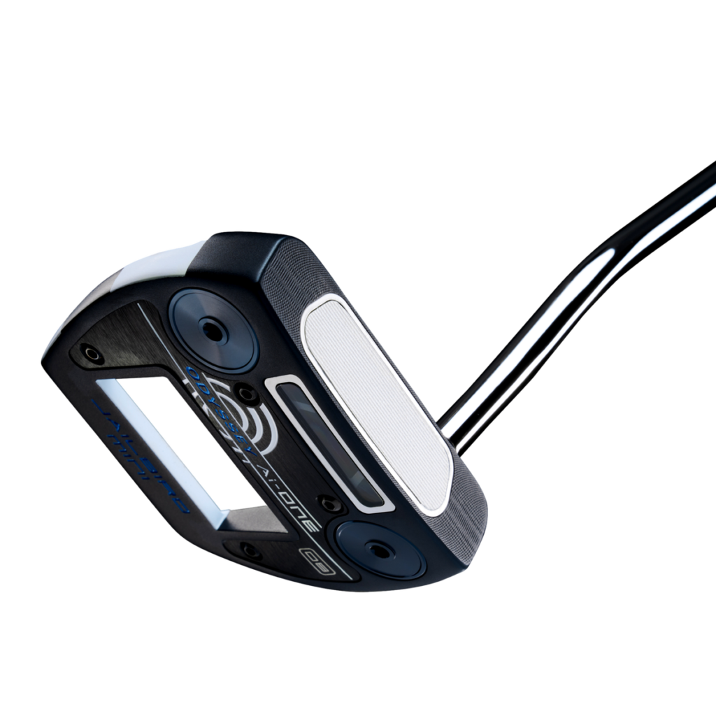 Ai-ONE Jailbird Mini DB Putter